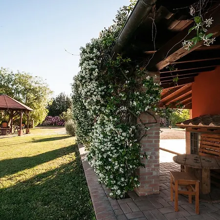 Casalventodimare E Tramontana Bed & Breakfast Montalto di Castro
